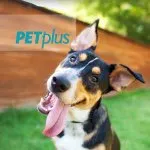 Pet Plus discount code